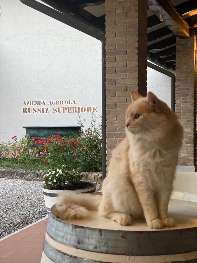 Relais Russiz Superiore Capriva del Friuli Extérieur photo